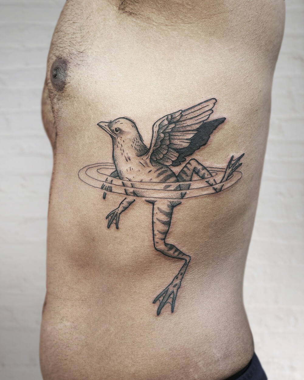 Tattoo of a bird frog which is a frog with wings on the ribs ribcage by Christian Eisenhofer - chimera frogtattoo birdtattoo berlintattoo blackwork dotwork abstracttattoo - Studio Sturmfrei Tattoo Berlin